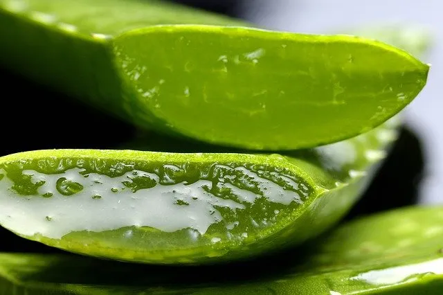 Aloes na włosy i skórę głowy - naturalna pielęgnacja
